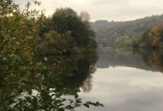 Bodenham Lakes景点图片