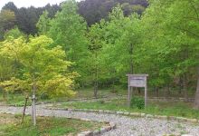 More Trees no Mori Morotsuka景点图片