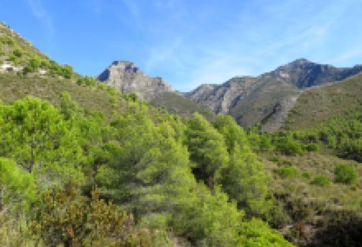 Fuente del Esparto景点图片