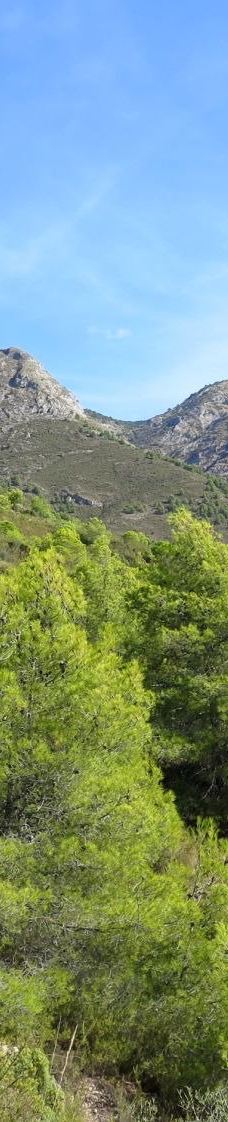 Fuente del Esparto-内尔哈