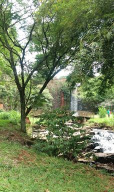 Parque dos Saltos-布罗塔斯