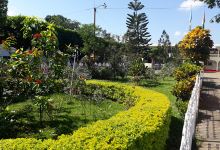 San Pablo Central Park景点图片