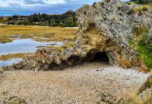 Goat Island景点图片