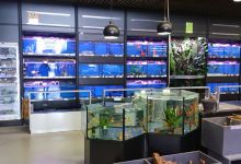 Magasin Vert DINAN / TADEN购物图片