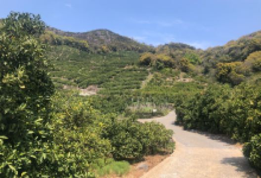 岩室城迹景点图片