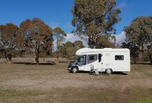 Macquarie Woods Recreation Area景点图片
