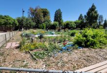 Pleasant Hill Park景点图片