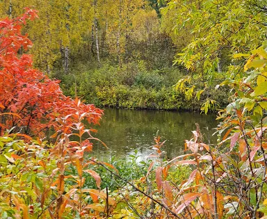 Klokkerhagen elvepark