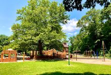 Sherborn Playground景点图片
