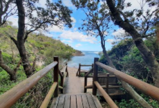 Bushrangers Bay Viewing Platform景点图片
