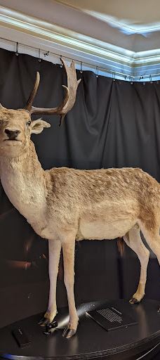 Museum MONREPOS-新维德