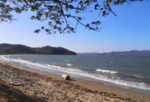 Playa Pochotes景点图片