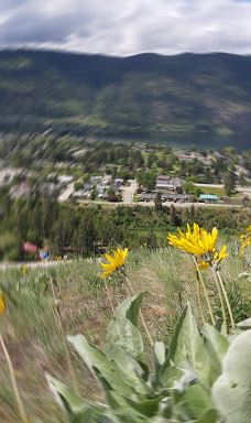 Chase Creek Falls-汤普森-尼古拉