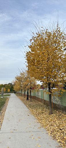 Ethennonnhawahstihnen Park-多伦多