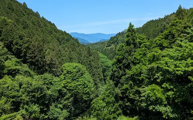 Iwamura Dam