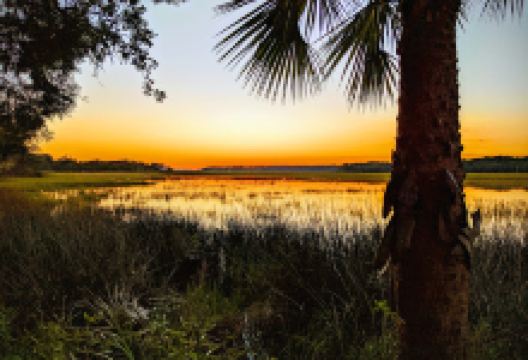 Jungle Road Park景点图片
