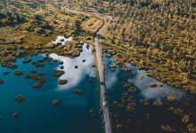Icacos Wetlands景点图片