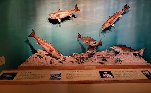 Bayou Terrebonne Waterlife Museum
