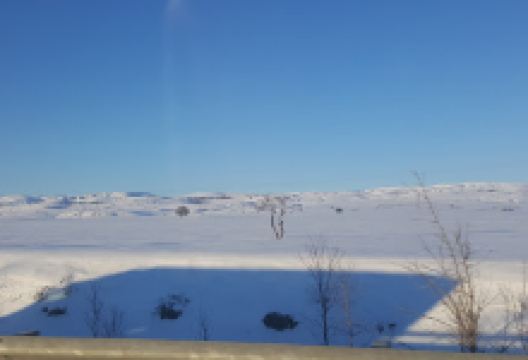 Ataturk Forest景点图片