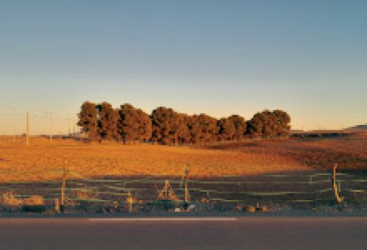 Sbika Ben Badis景点图片