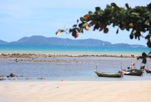 Pala Beach Pier景点图片