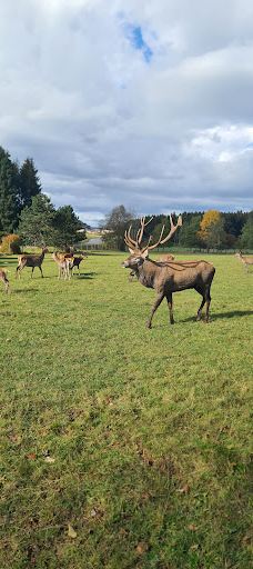 Wildgehege Meßstetten-佐勒纳尔布县
