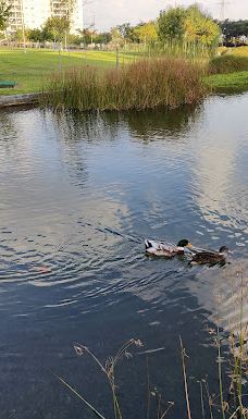 Eco Park-Ezor Hadera