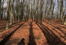 Panorama Cornielje景点图片