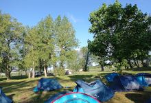 Camping municipal - Grève de Loire景点图片