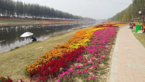 張坡枯河公園