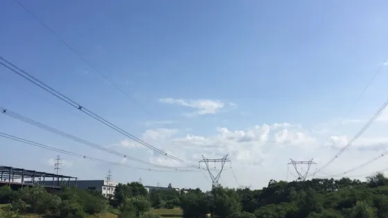 遠大濕地公園