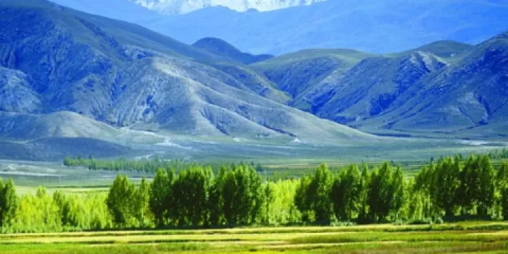 尼木國家森林公園