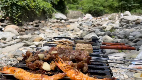 陝西省秦嶺十寨溝森林公園
