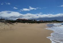 Merewether Dog Off-Leash Area景点图片