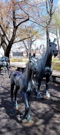 十和田市中央公园-十和田市