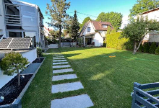 Moc Zieleni. Sułek Ł.购物图片