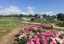 VDU Botanical garden景点图片