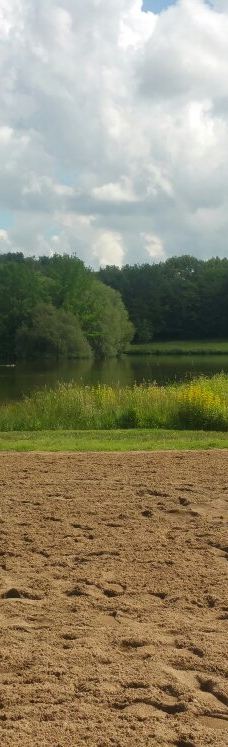 Parc des Gayeulles-雷恩