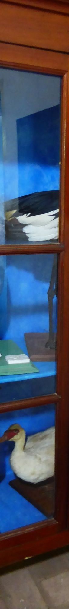 Botanical Garden of Asunción-亚松森