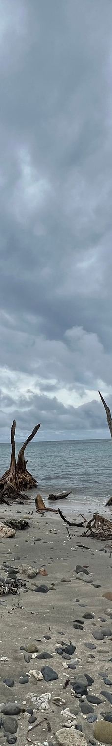 卡维塔国家公园-Talamanca