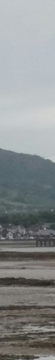 Hazelbank Park-纽敦阿比