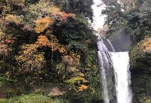 Waterfall Jion景点图片