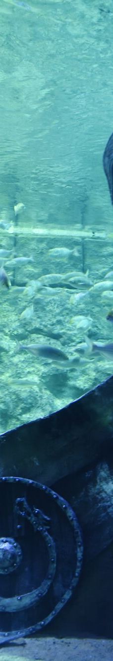 ViaSea水族馆-伊斯坦布尔