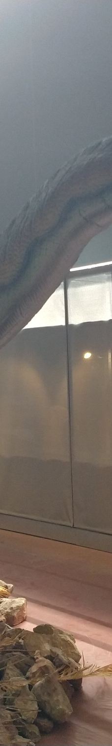 Musee des Dinosaures 'Dinosauria'-埃斯佩拉扎