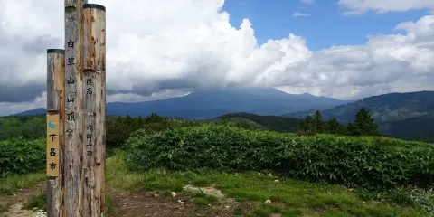 白草山