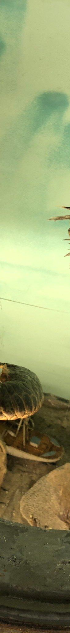 Marstal Sofartsmuseum-马斯塔尔