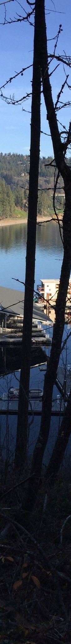 Tubbs Hill-科达伦