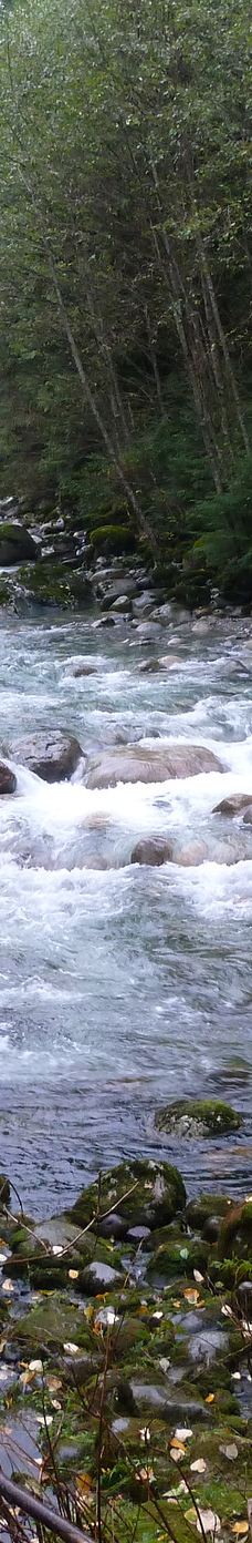 林恩峡谷公园-北温哥华