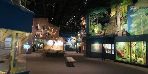 克利夫蘭自然歷史博物館