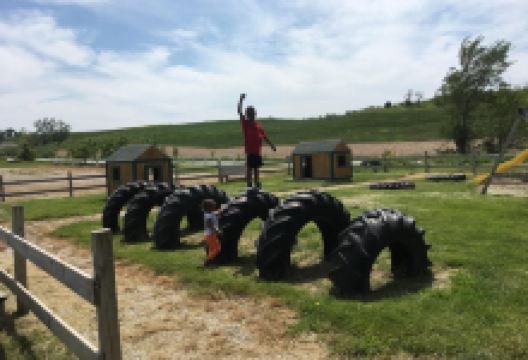 Ditmars Orchard & Vineyard景点图片